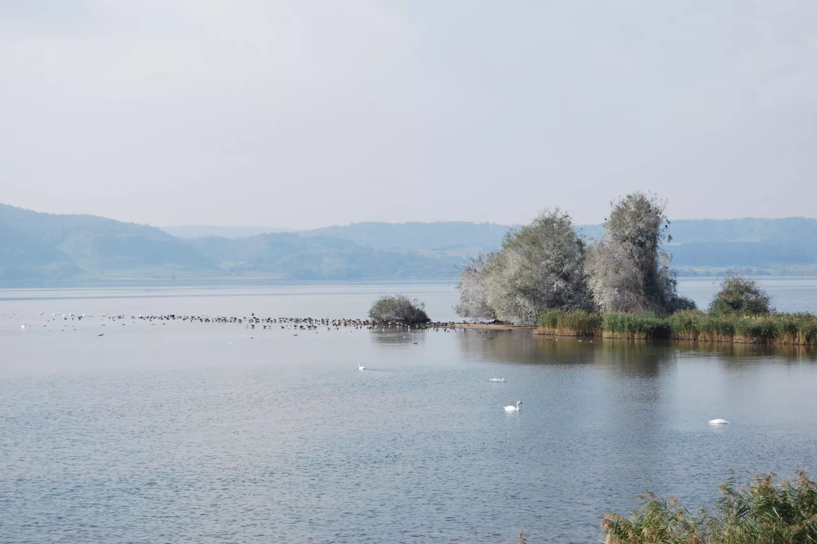 Alte Wassermühle-Gebieden zomer 20km