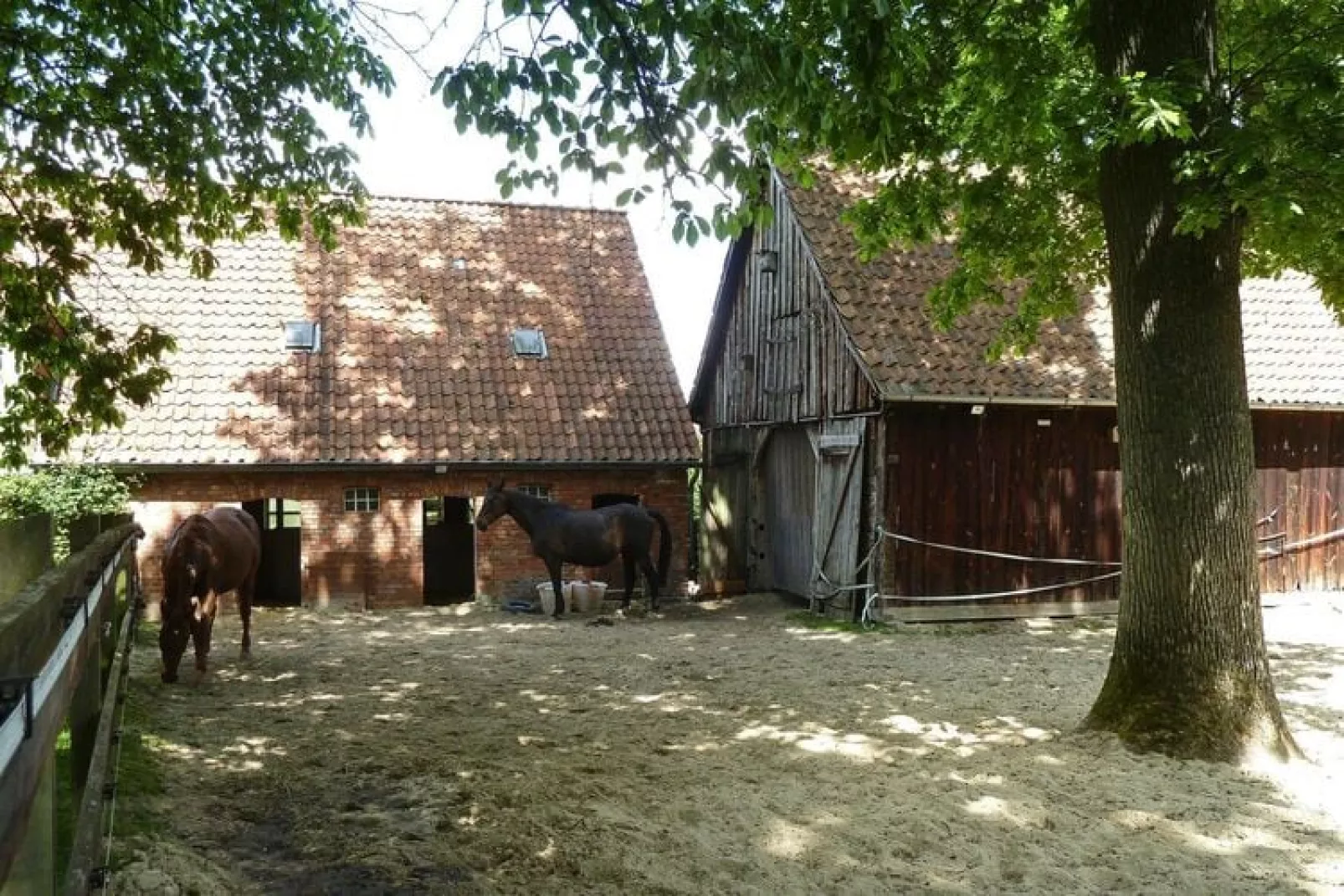 Appartement in een vakantieboerderij, Dorfmark-Buitenkant zomer