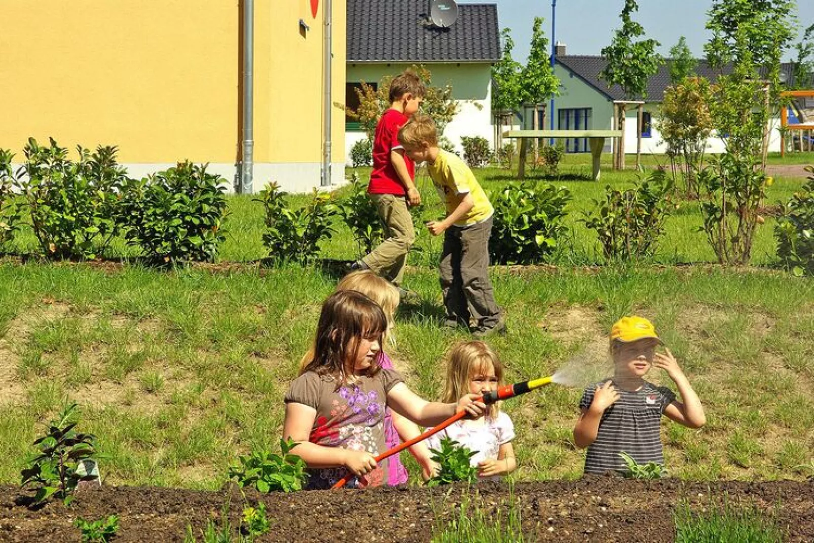 FH Seeschwalbe-Tuinen zomer