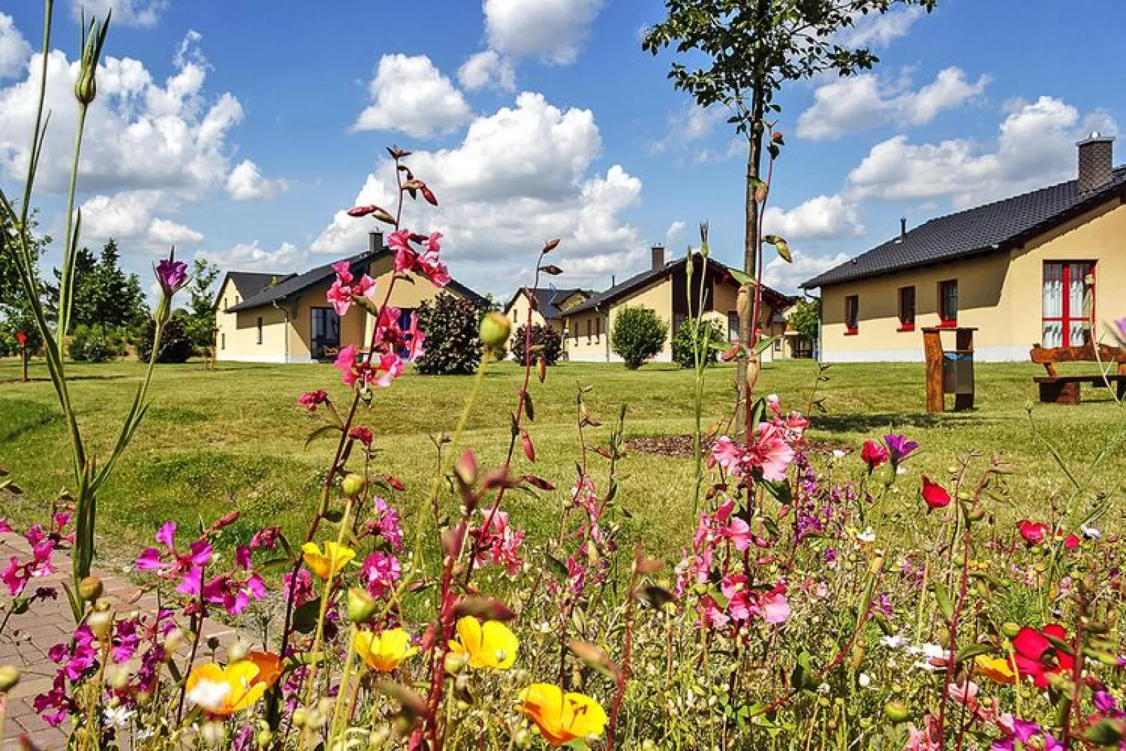 FH Seeschwalbe-Tuinen zomer