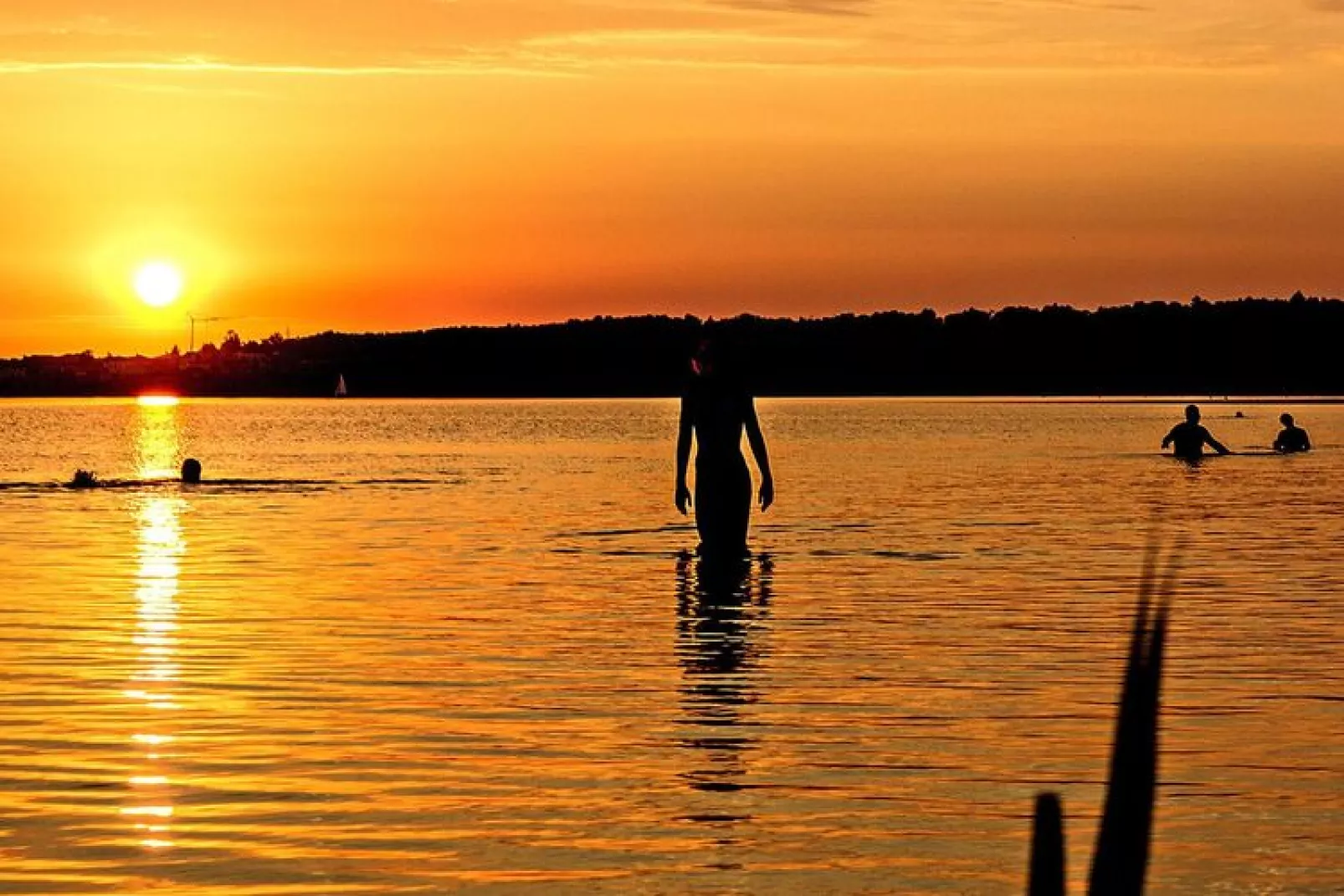 FH Seeschwalbe-Waterzicht