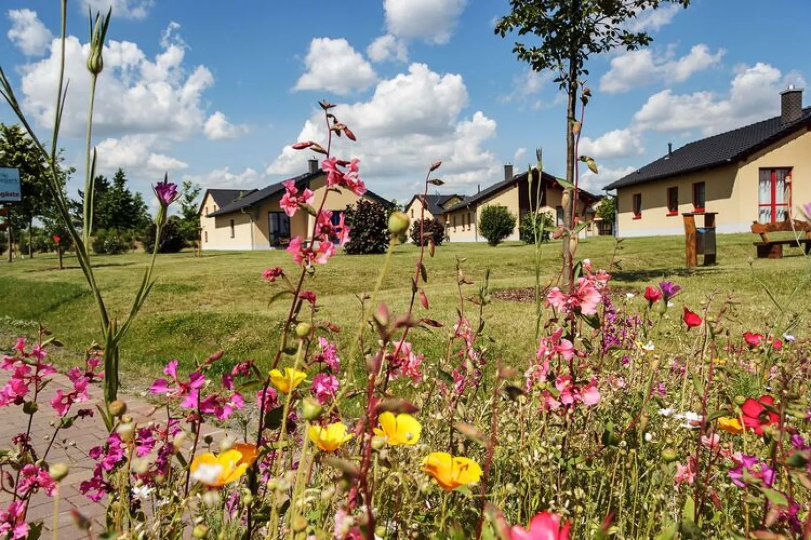 FH Zwergseeschwalbe-Parkfaciliteiten