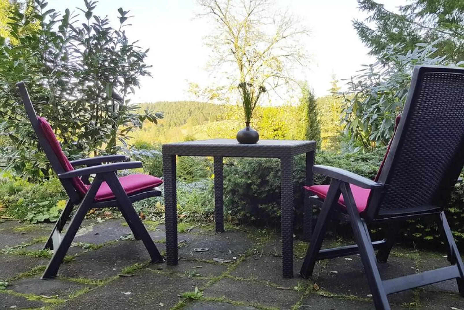 Kombination Bärenhütte  Hirschblick 10 Erw 2 Kinder-Tuinen zomer