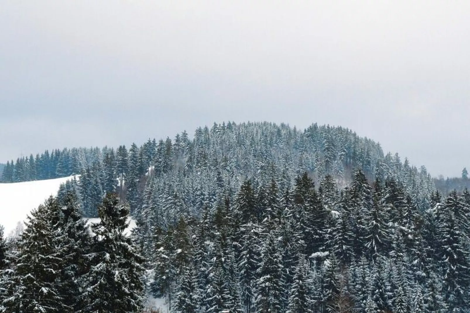 Kombination Bärenhütte  Hirschblick 8 Erw 2 Kinder-Uitzicht winter