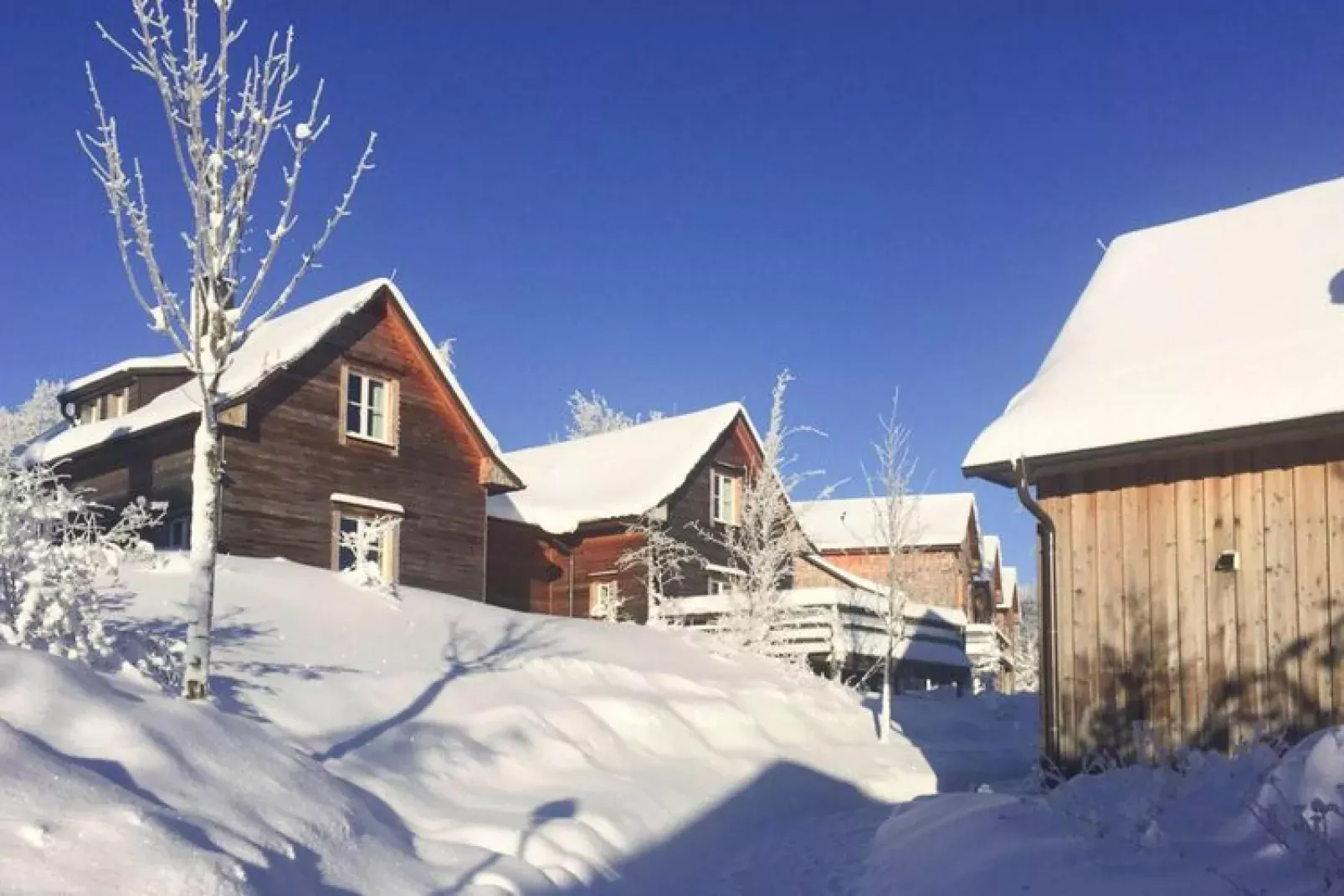 Ferienhaus Typ Premium Lodge 4 Personen-Exterieur winter