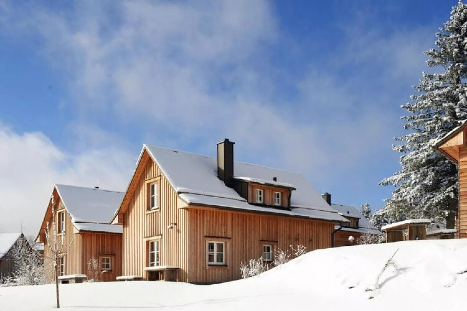 Ferienhaus Typ Premium Lodge 4 Erw 2 Kinder-Exterieur winter