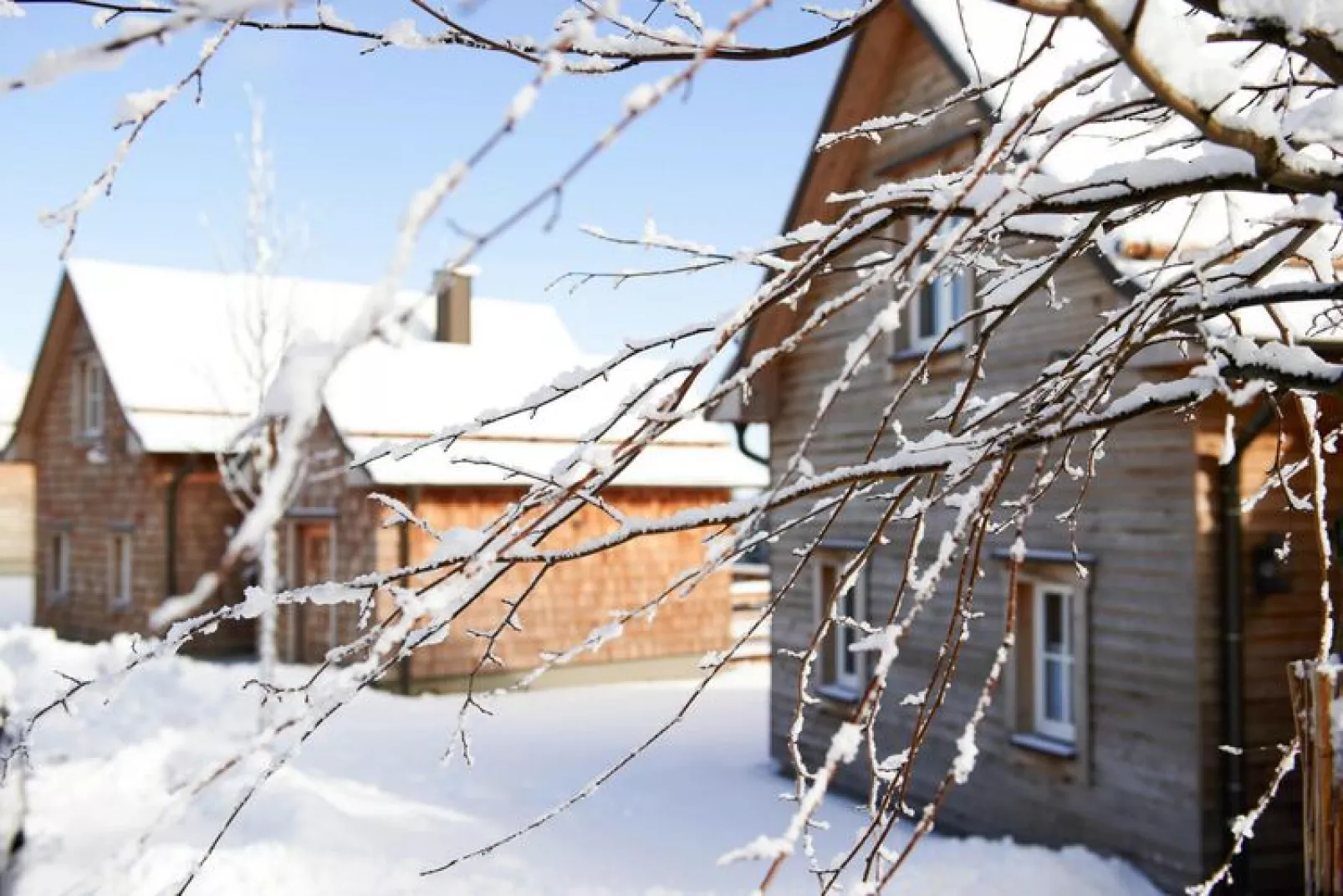 Ferienhaus Typ Premium Lodge 4 Erw 2 Kinder-Exterieur winter