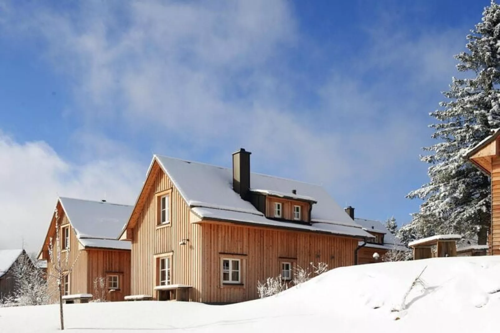 Ferienhaus Typ Premium Lodge best price 4 Personen-Exterieur winter