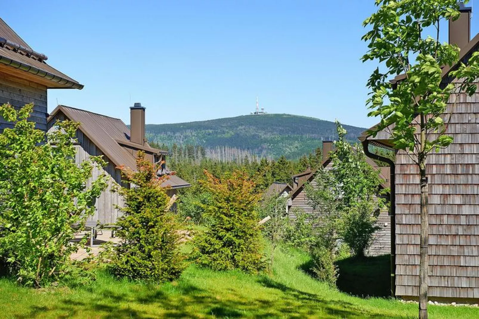 Ferienhaus Typ Premium Lodge best price 4 Personen-Uitzicht zomer