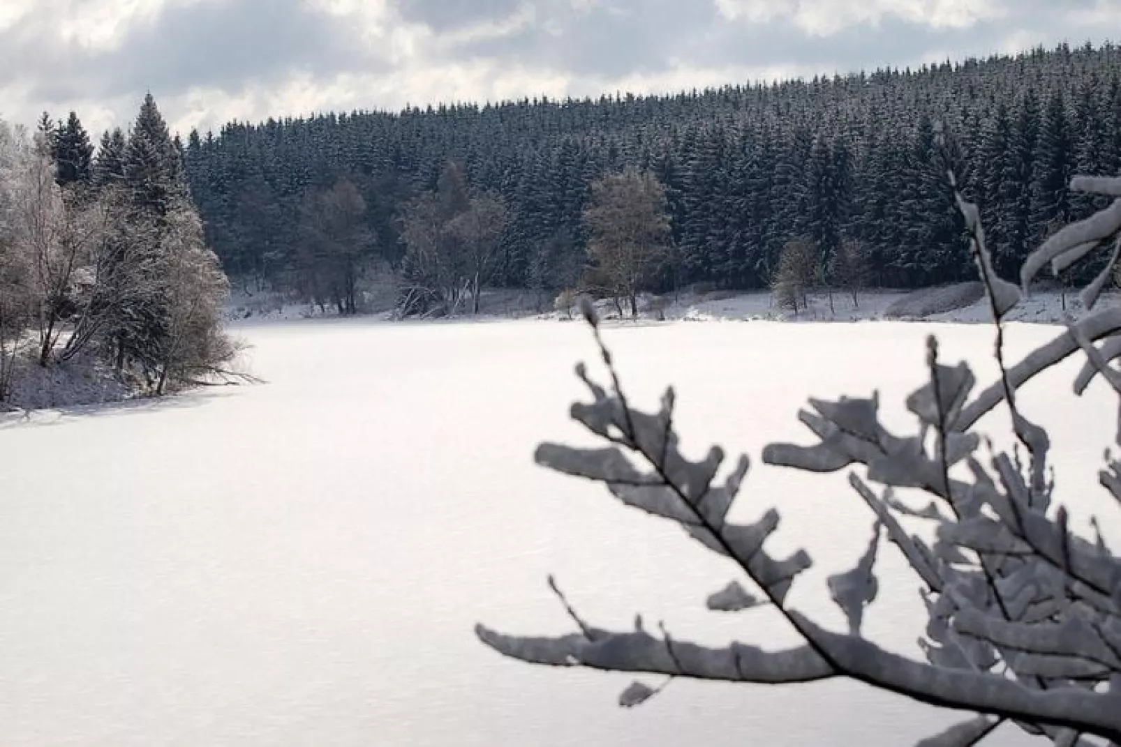 Hasselhäuser-Gebied winter 5km