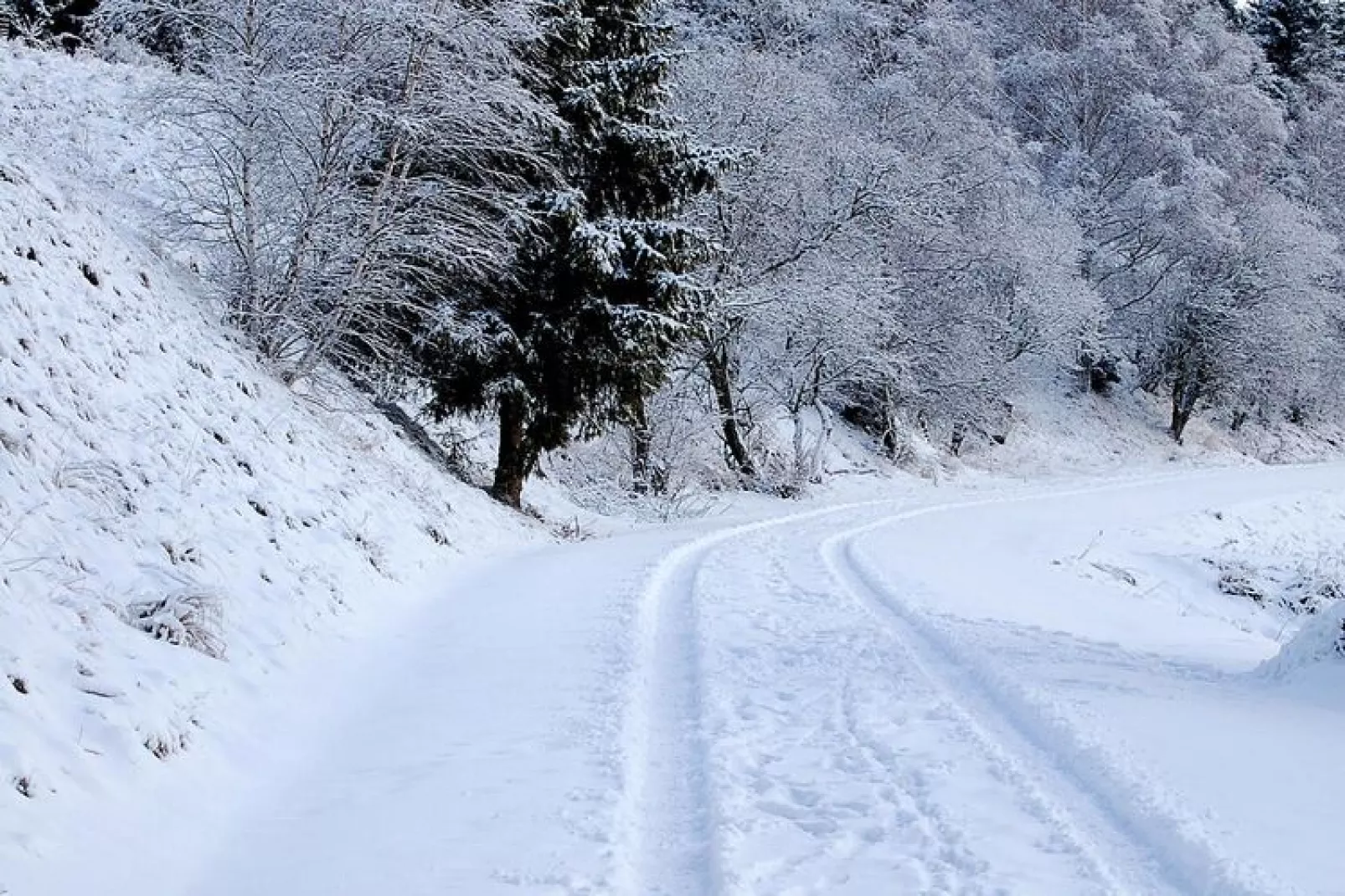 Hasselhäuser-Gebied winter 5km