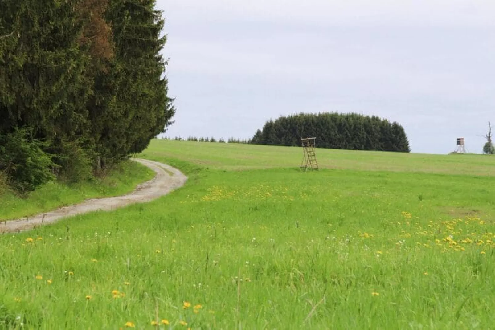 Hexenzauber I-Gebieden zomer 1km