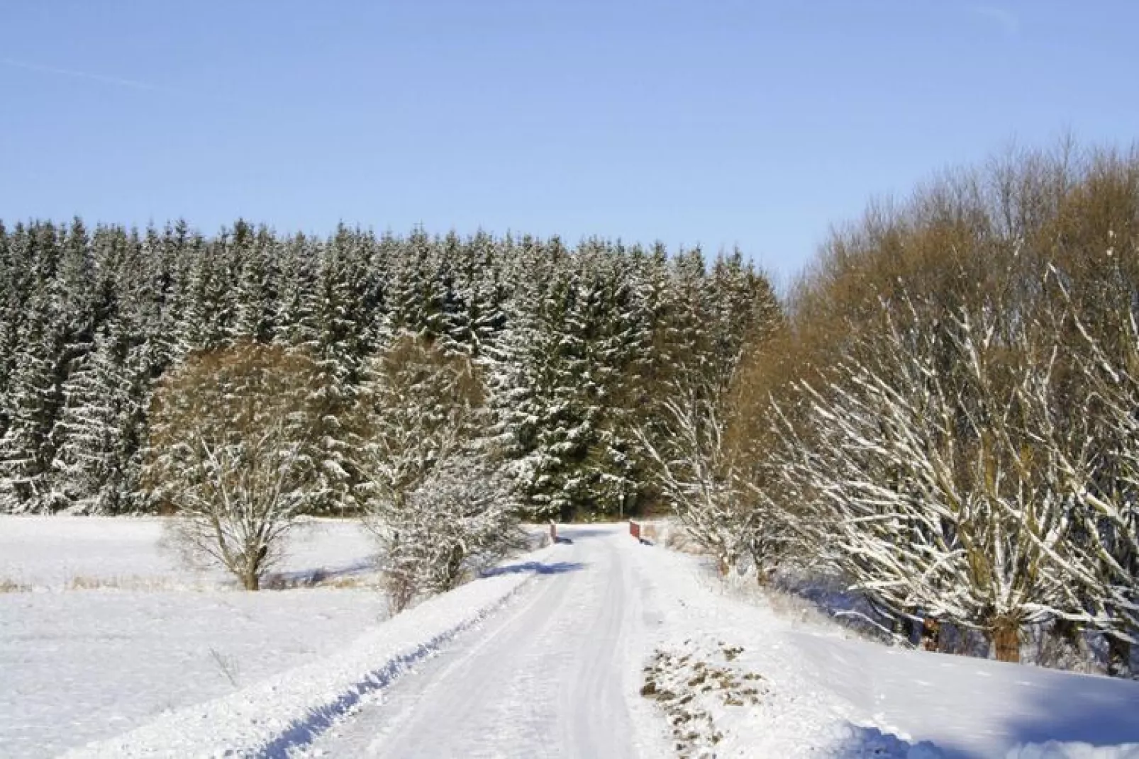 Hexenzauber I-Gebied winter 1km