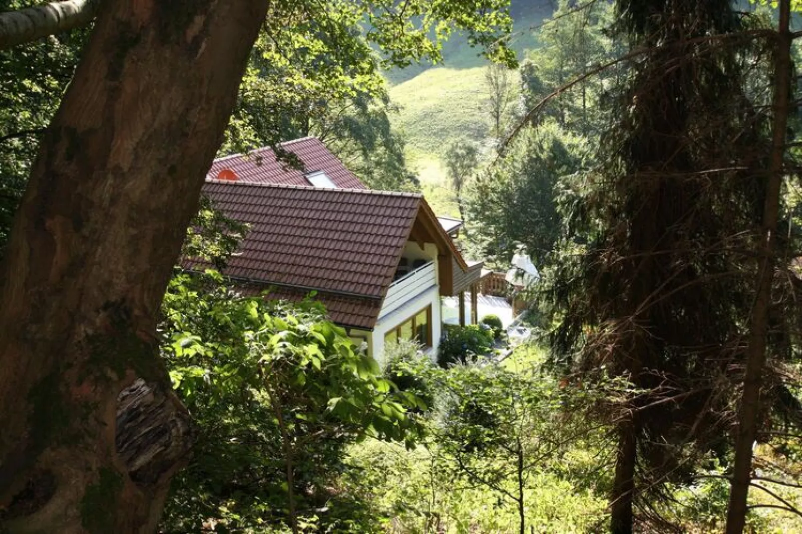 Wohnung 3 Talblick-Tuinen zomer