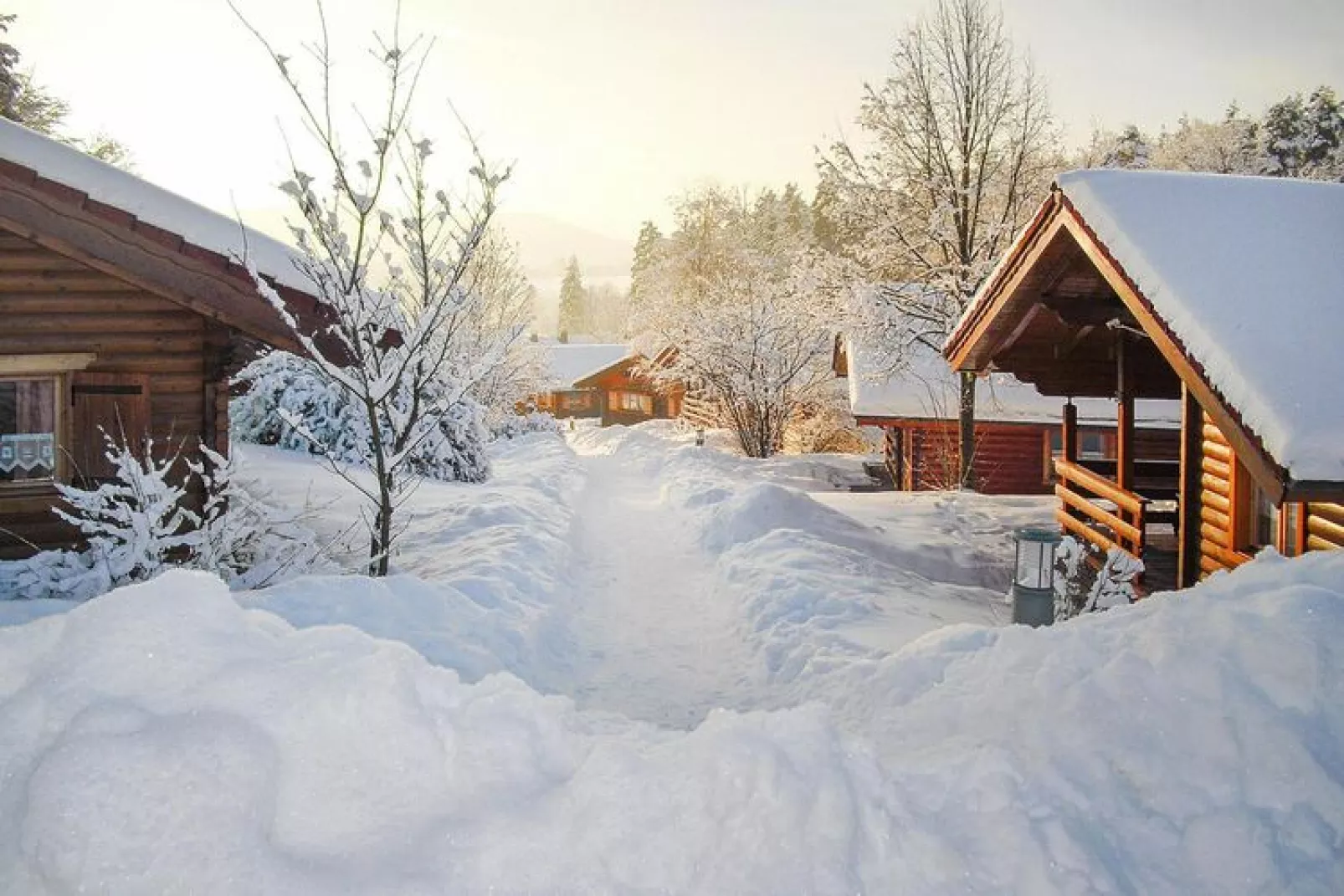 Blockhaus Stamsried-Typ A-Exterieur winter