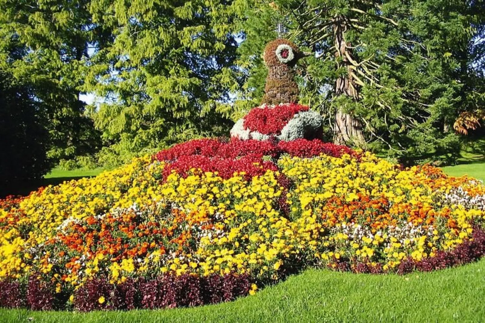 Feriendorf Öfingen - 68 qm Typ C Sioux-Tuinen zomer