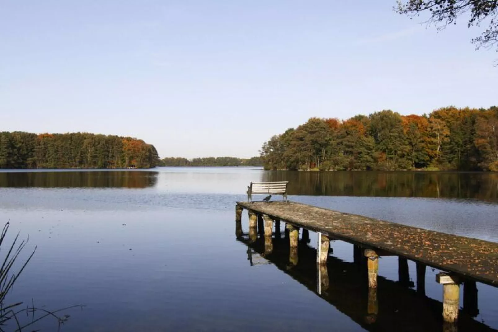 Sommerhus-nordlys 80 qm-Gebieden zomer 1km