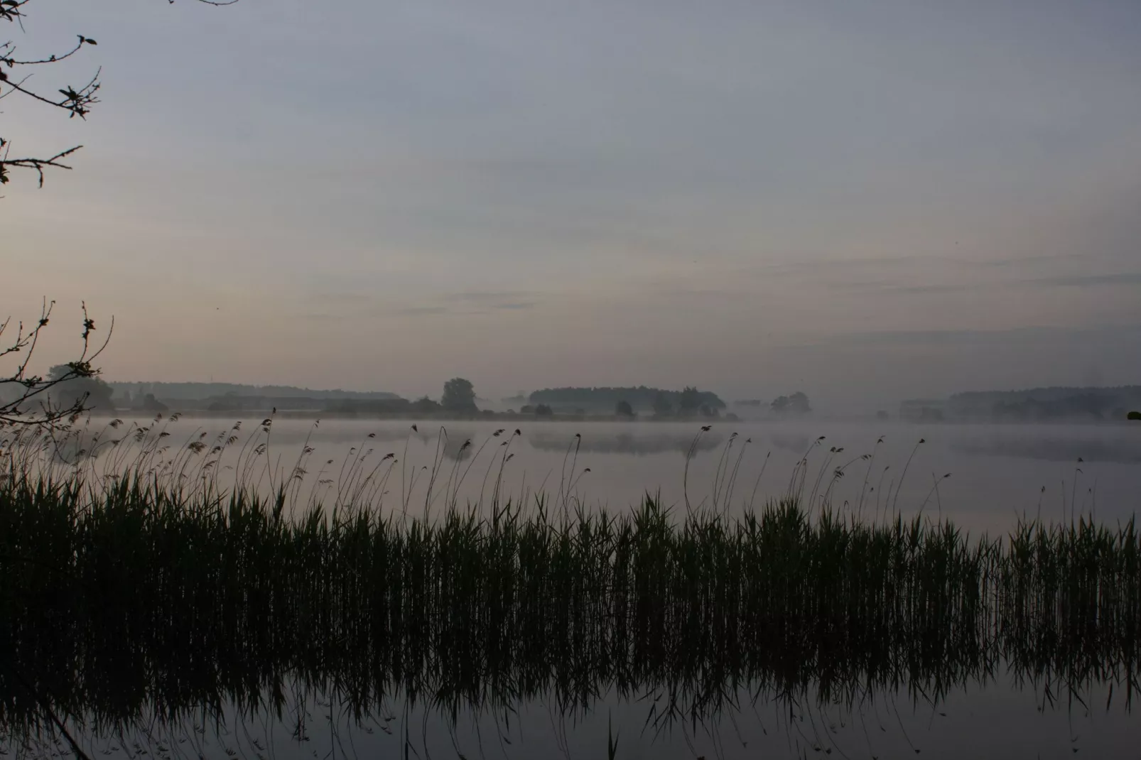 Reihenhaus Tulpe-Gebieden zomer 1km