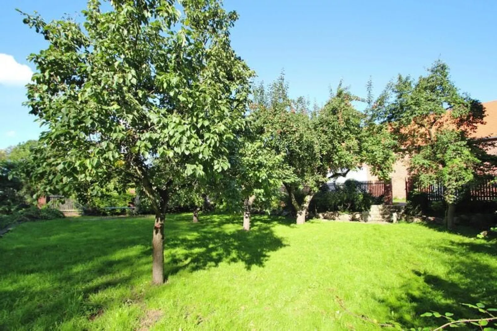 Rosenhof 250 qm-Tuinen zomer