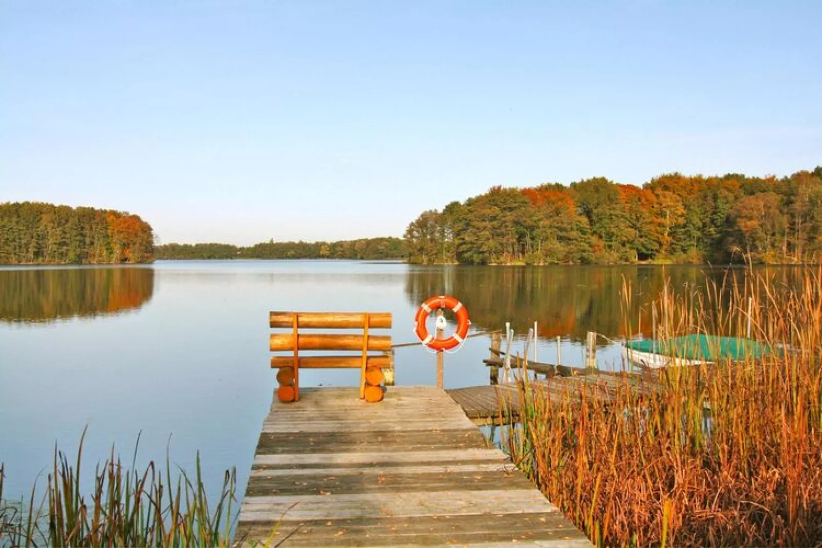 Seeadler 70 qm-Gebieden zomer 1km