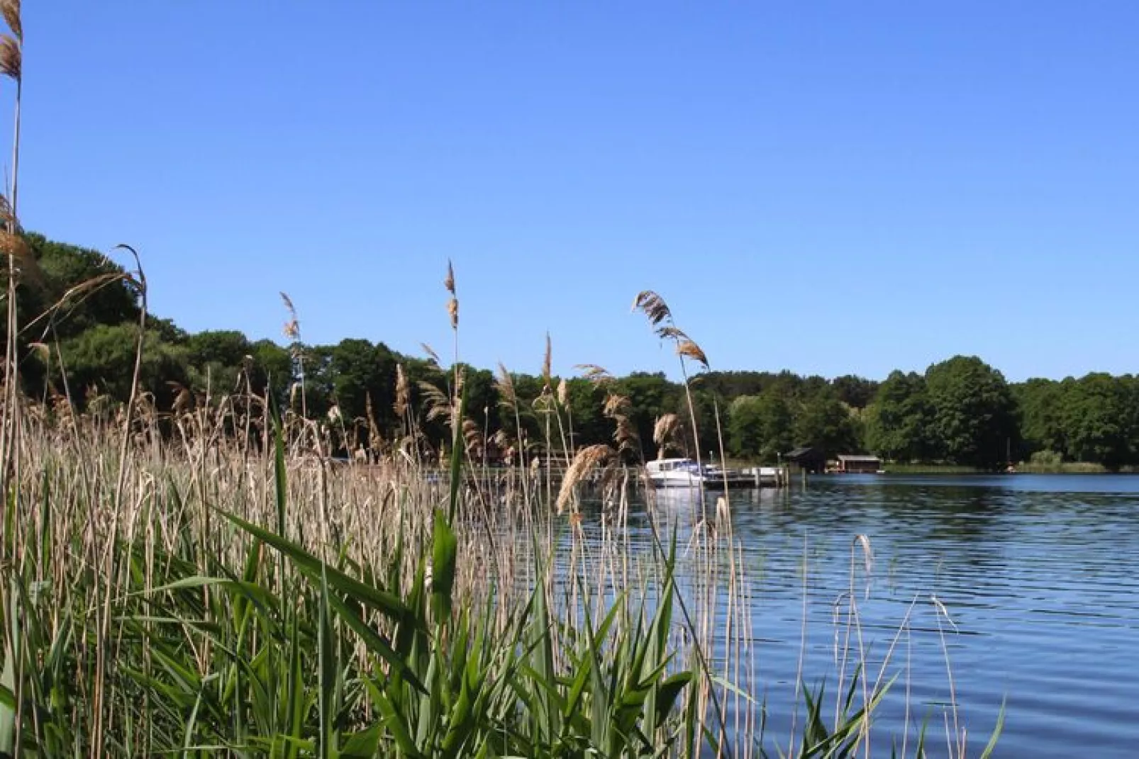 Bungalow 6 Waren-Waterzicht