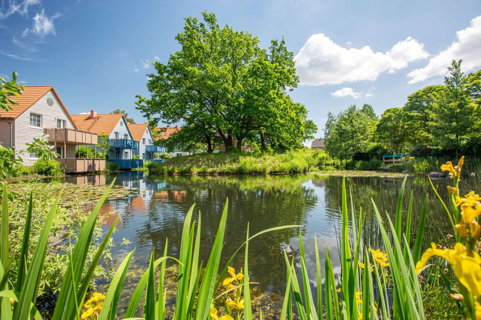 BEECH Resort Fleesensee in Göhren-Lebbin-Buitenkant zomer