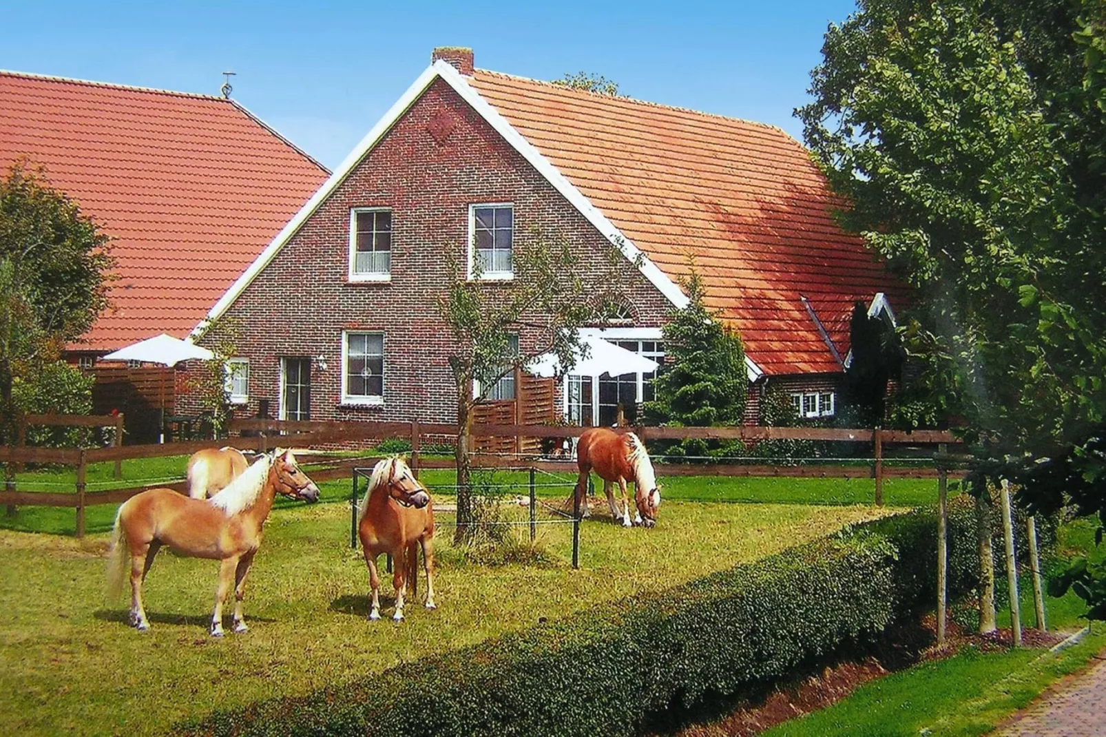 Schwalbenhaus-Buitenkant zomer