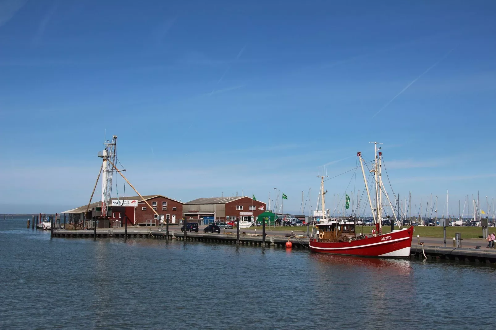 Ferienwohnung mit Sonnenterrasse in Dornumersiel-Gebieden zomer 1km