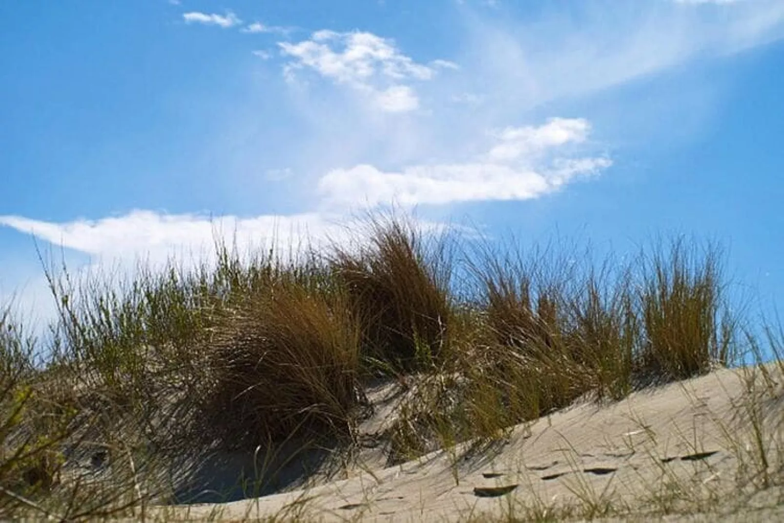 Doppelhaus in Oldsum auf Föhr-Haus 1-Gebieden zomer 5km