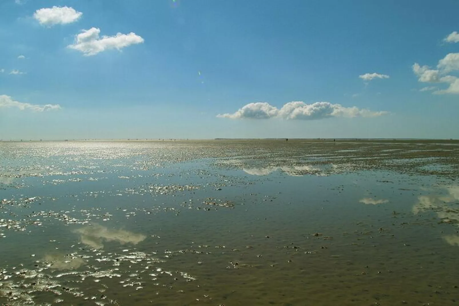 Ferienwohnung in Wyk auf Föhr - La Mer Wohnung 1-Waterzicht