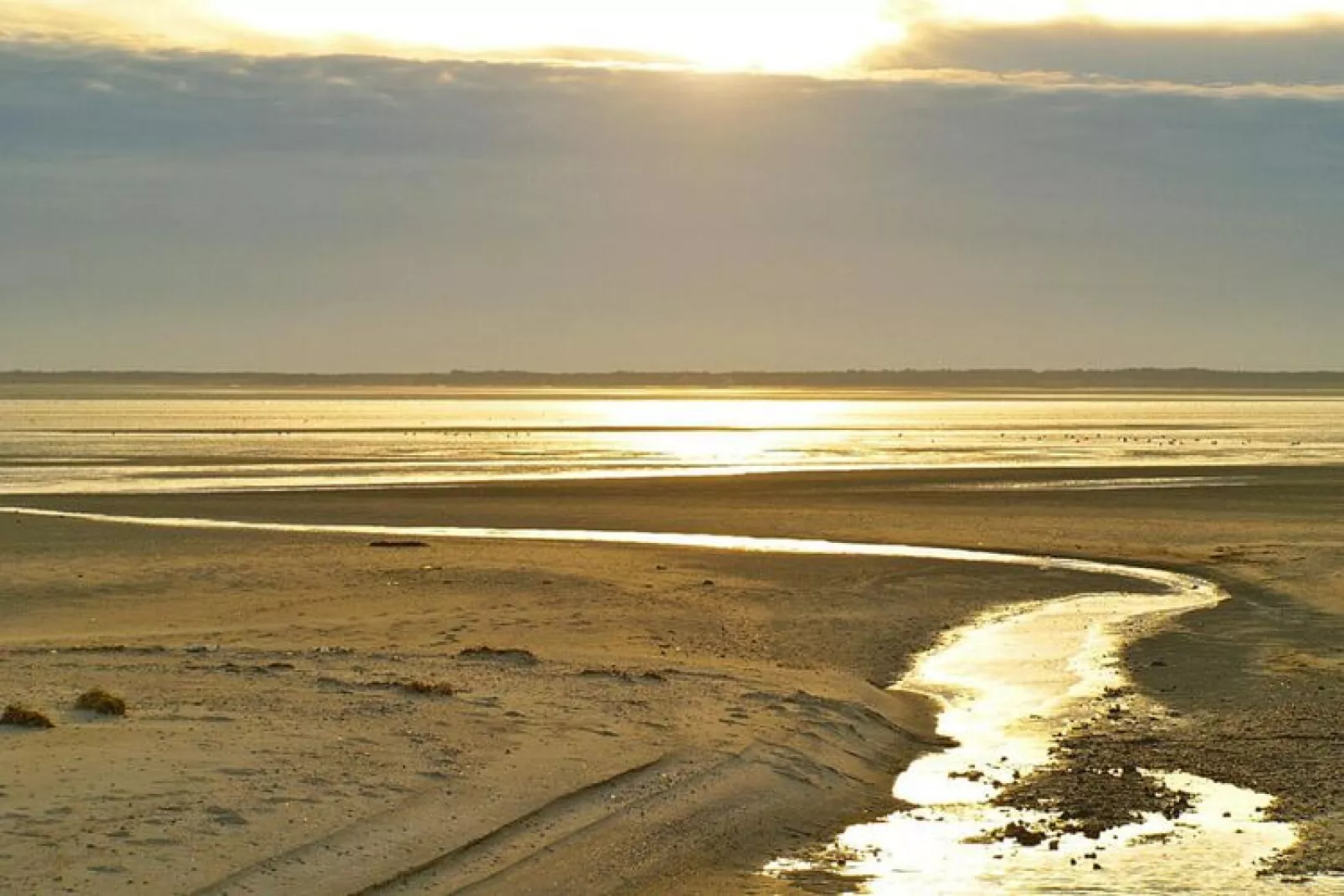 Ferienwohnung in Wyk auf Föhr - LaMer Whg 3