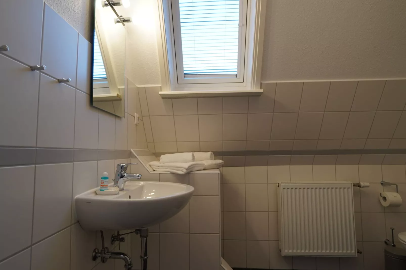 Holiday flat Haus Harde, Wyk-Boldixum-Wohnung 3, 3 Pers.-Badkamer