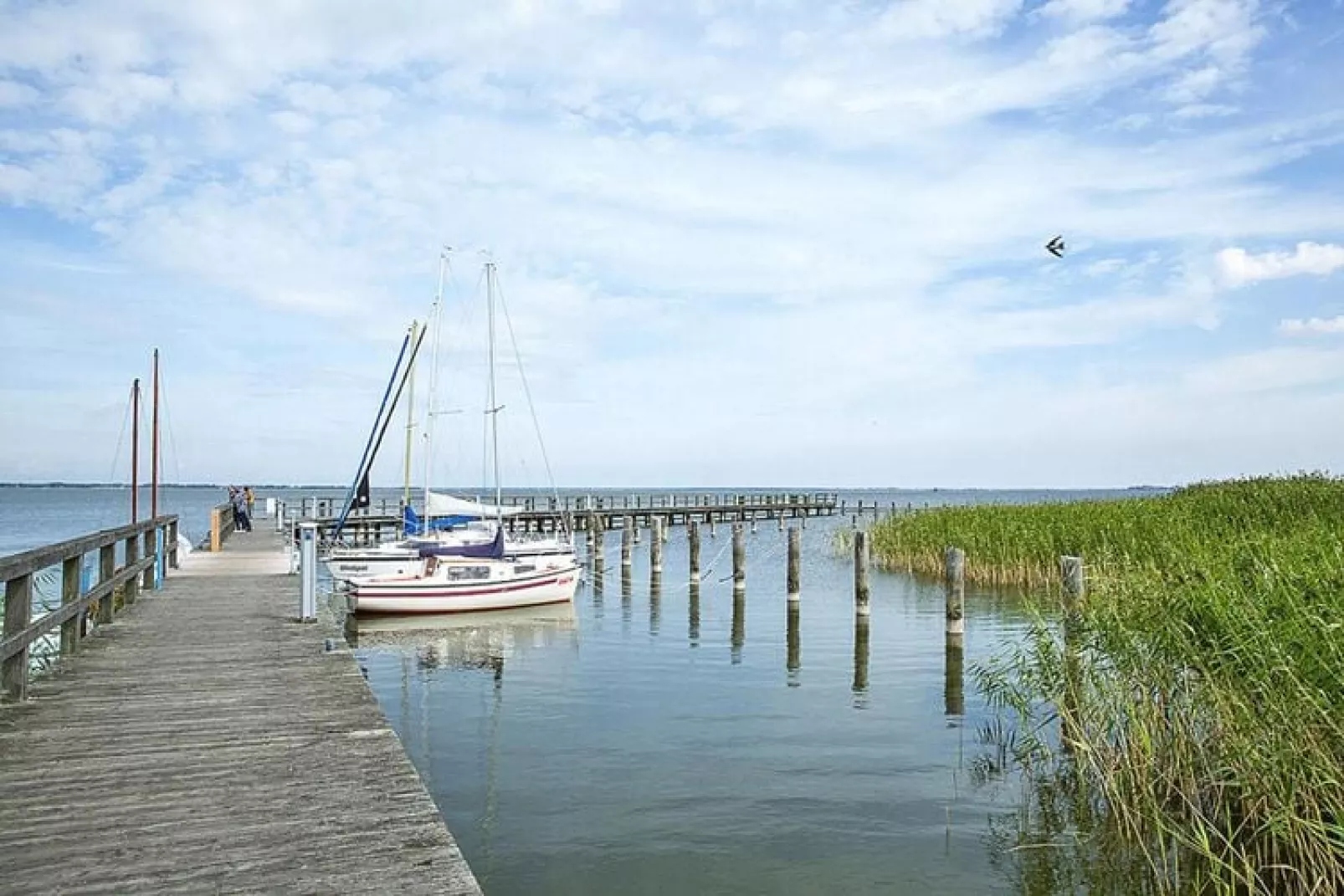 Seeadler 3-Waterzicht