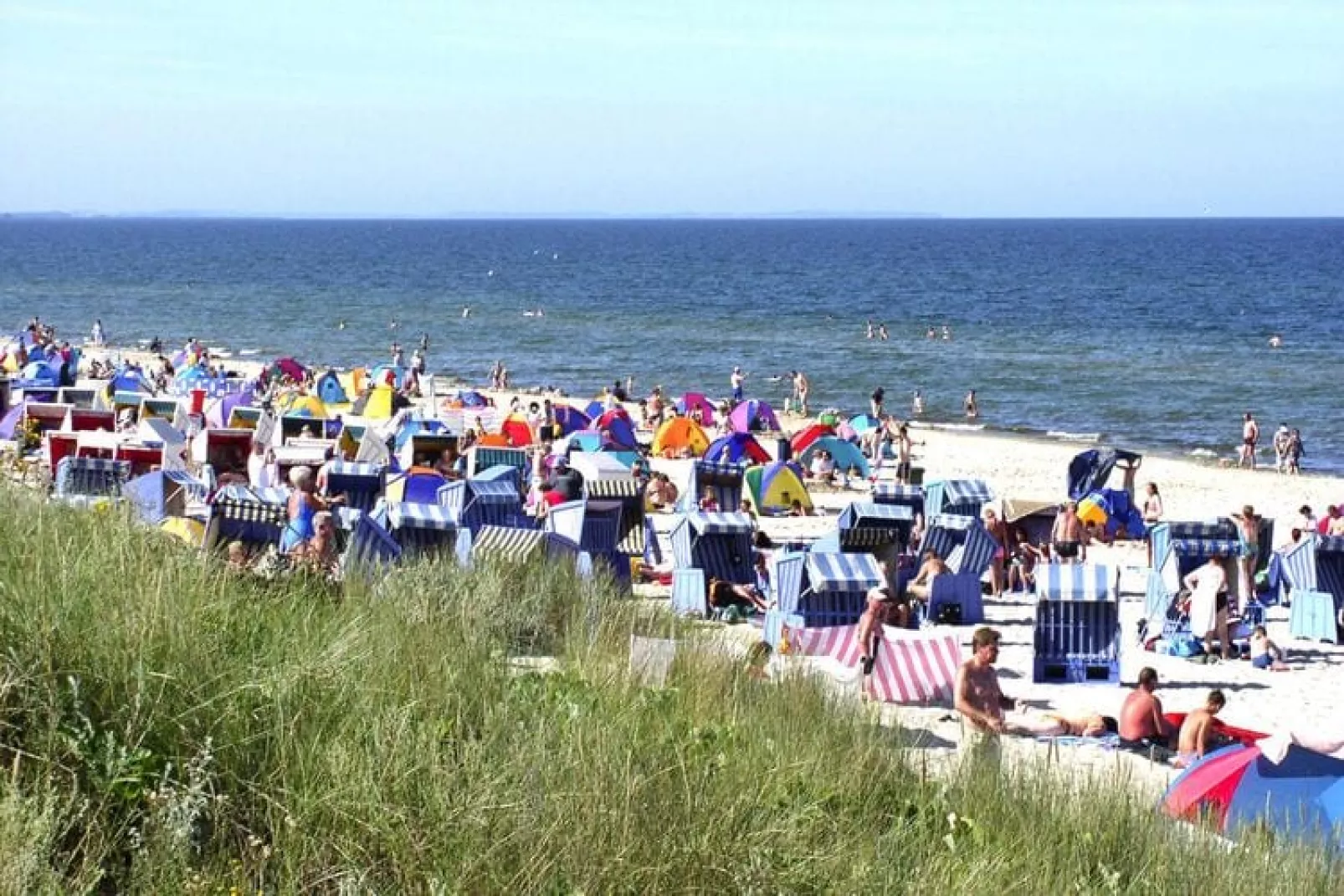 Kranichnest-Gebieden zomer 20km