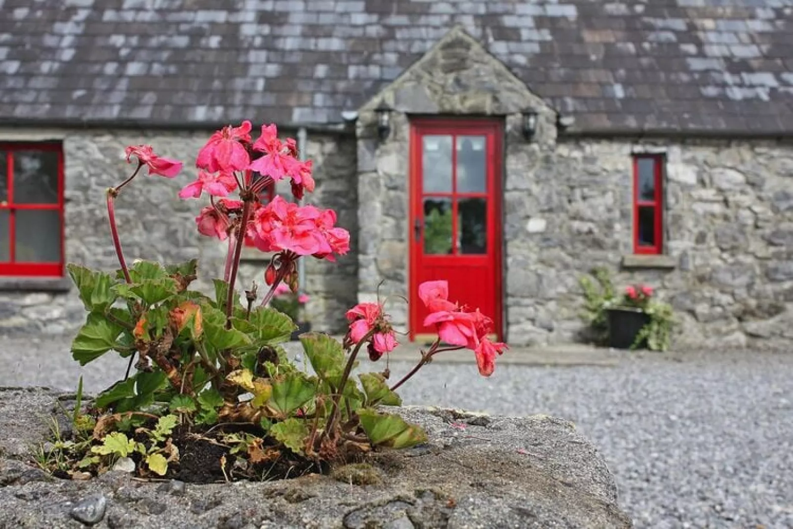 Lime Kiln Cottage Terryglass Co Tipperary-Buitenkant zomer