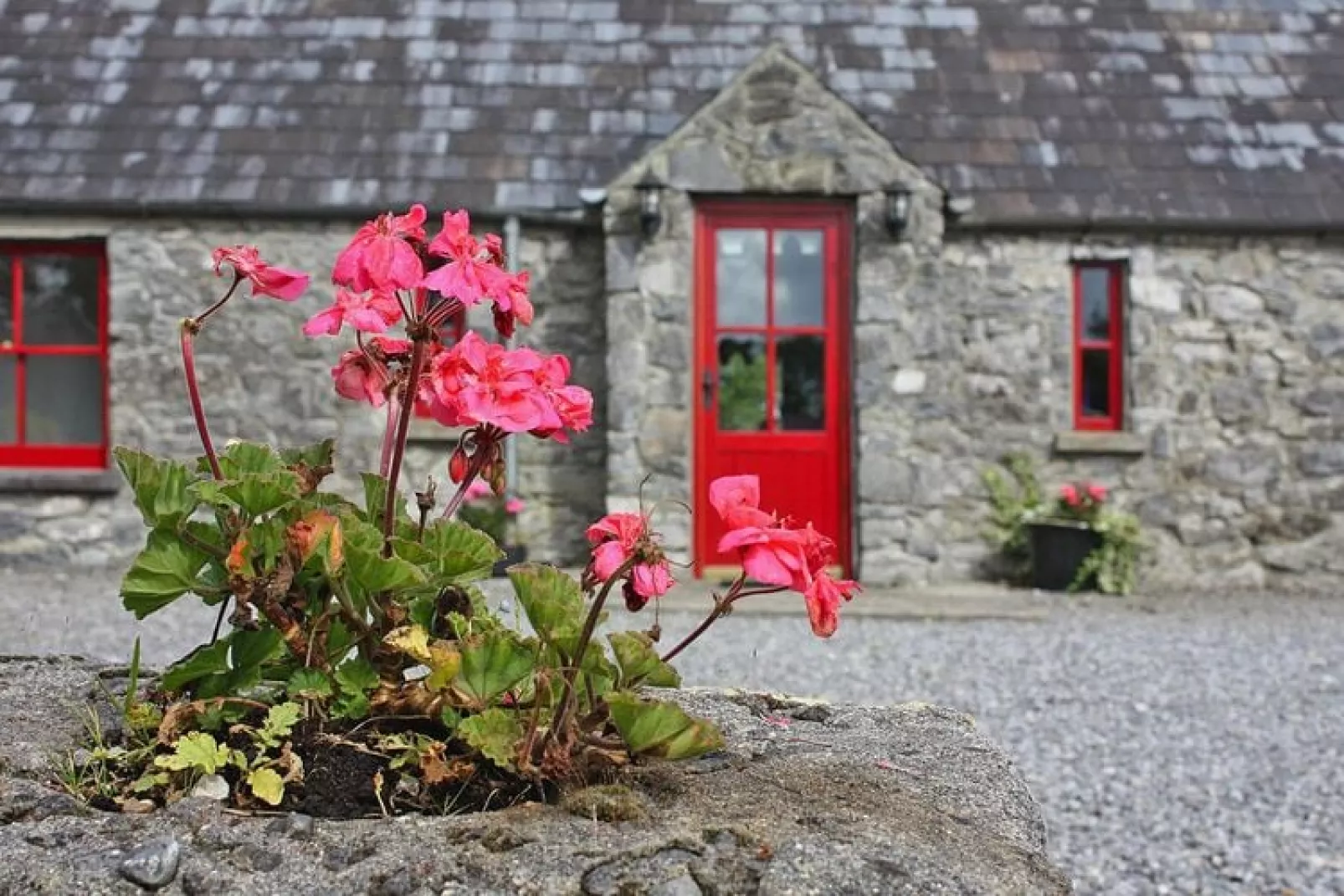 The Lodge Cottage Terryglass Co Tipperary-Buitenkant zomer