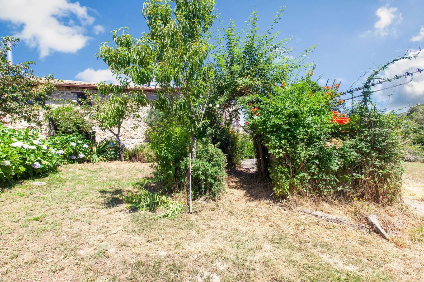 La Casita Ribeira Sacra-Tuinen zomer