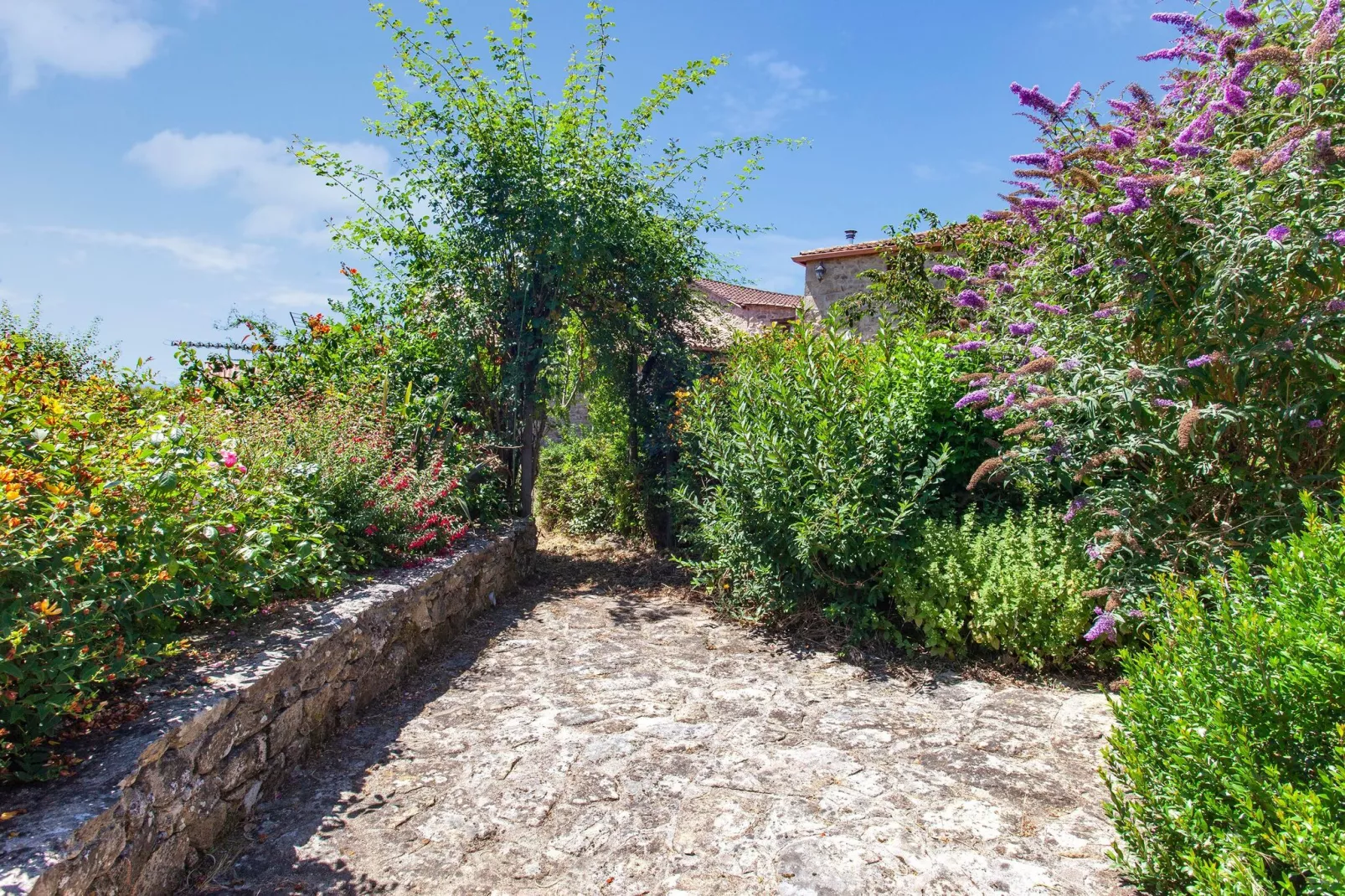 La Casita Ribeira Sacra-Tuinen zomer