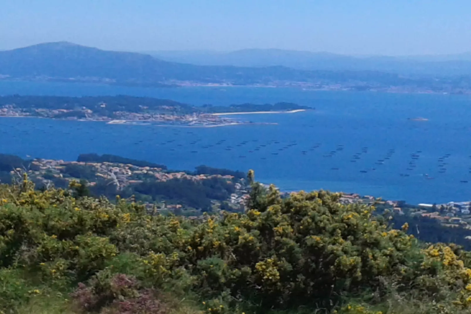 Playa Montalvo - Bajo 6-Gebieden zomer 1km