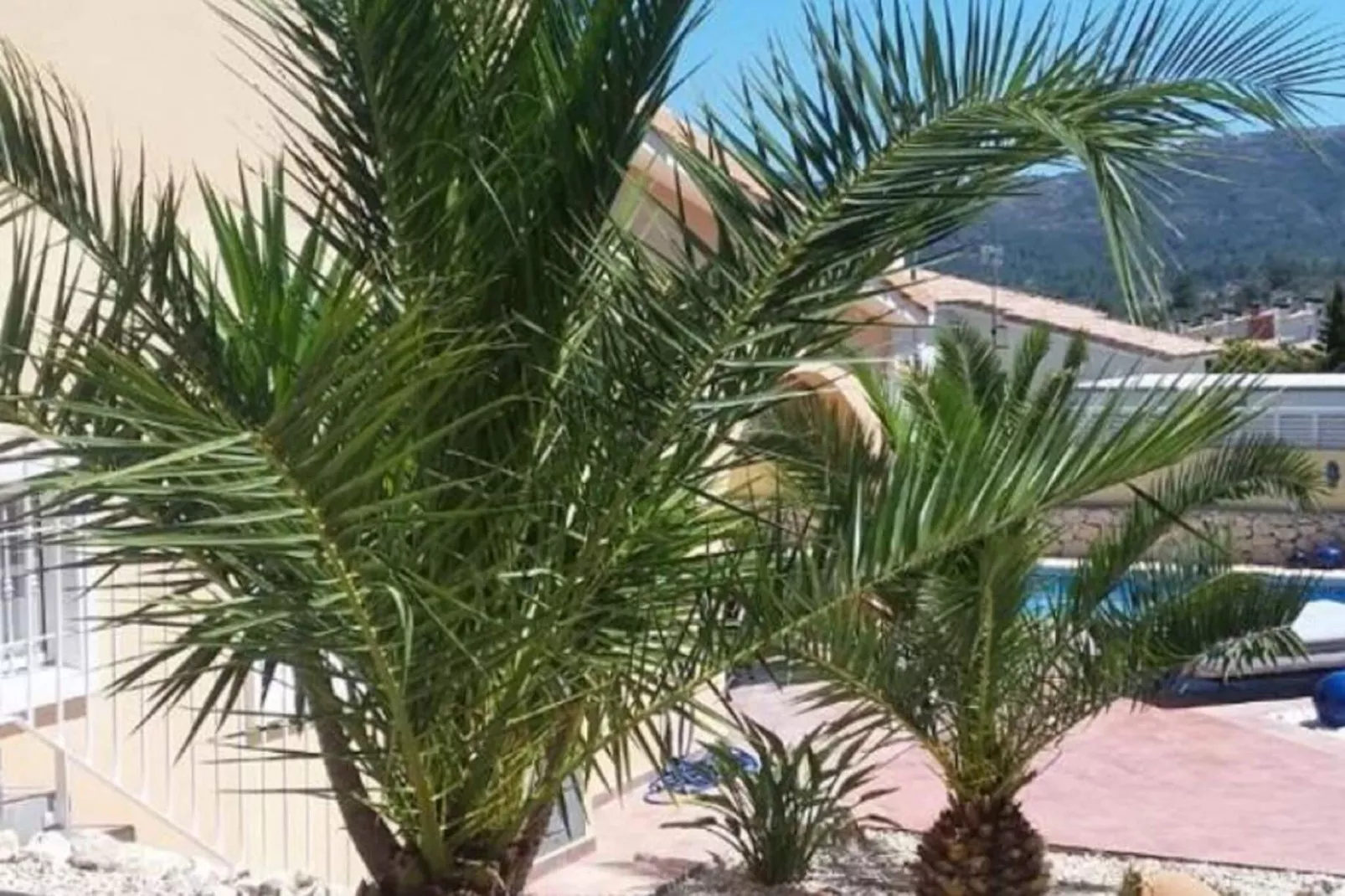 Mi Sueno Gata Residencial Monte Pedreguer-Uitzicht zomer