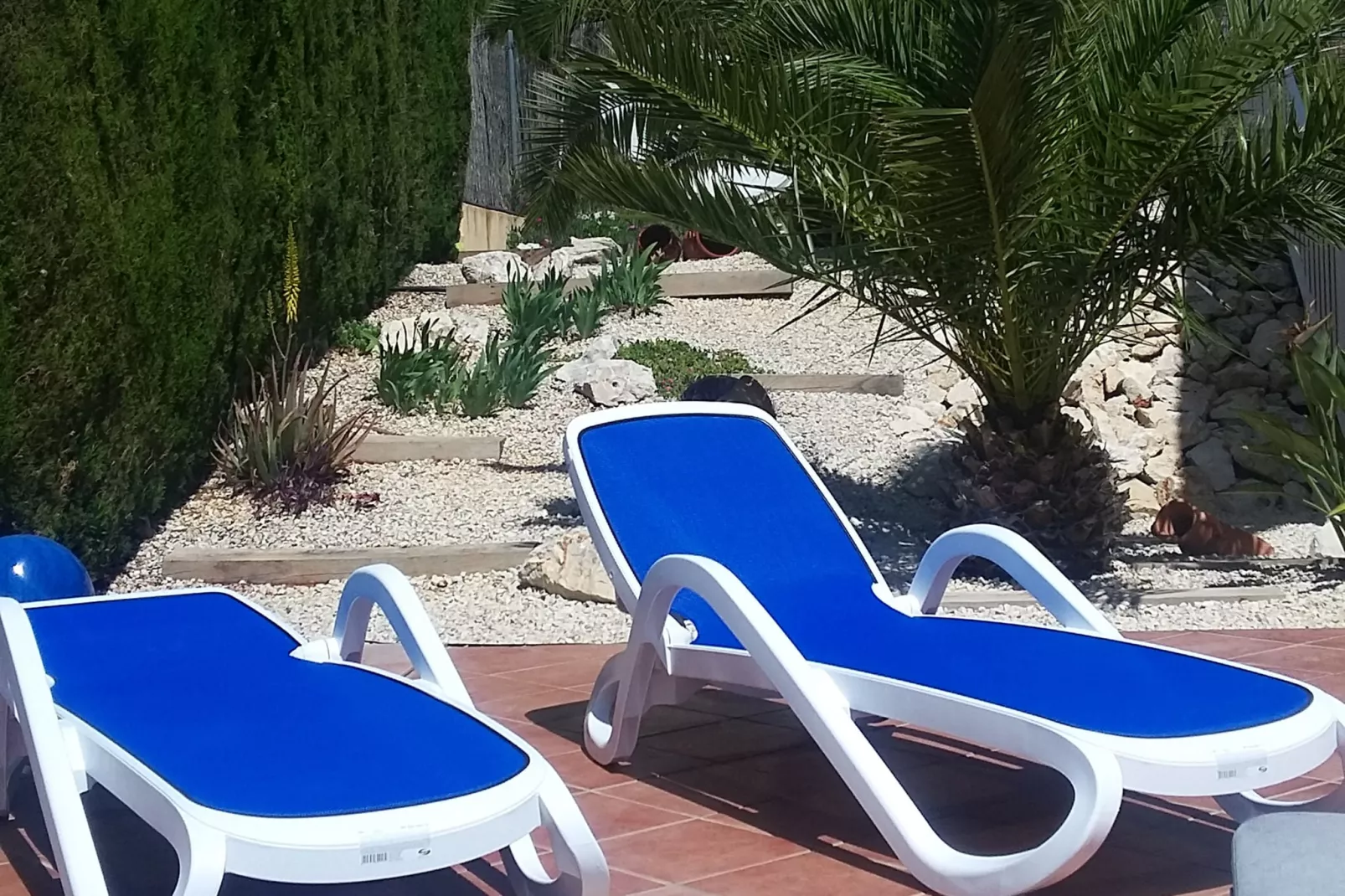 Mi Sueno Gata Residencial Monte Pedreguer-Sfeer