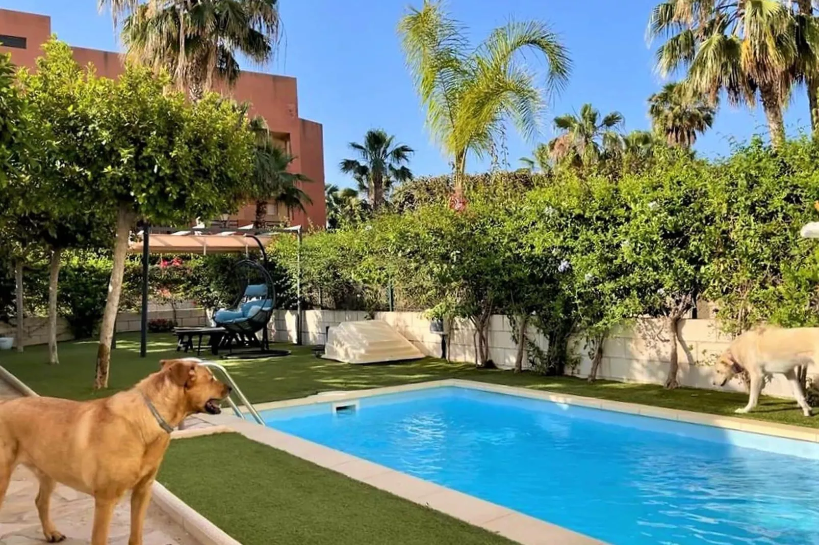 Bajo con terraza jardín y piscina privada-Zwembad