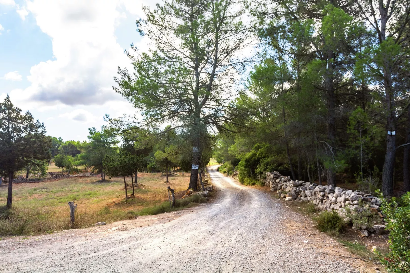 Can Bosque-Gebieden zomer 1km