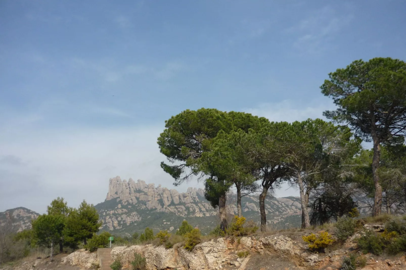 Cal Sant Miquel-Uitzicht zomer