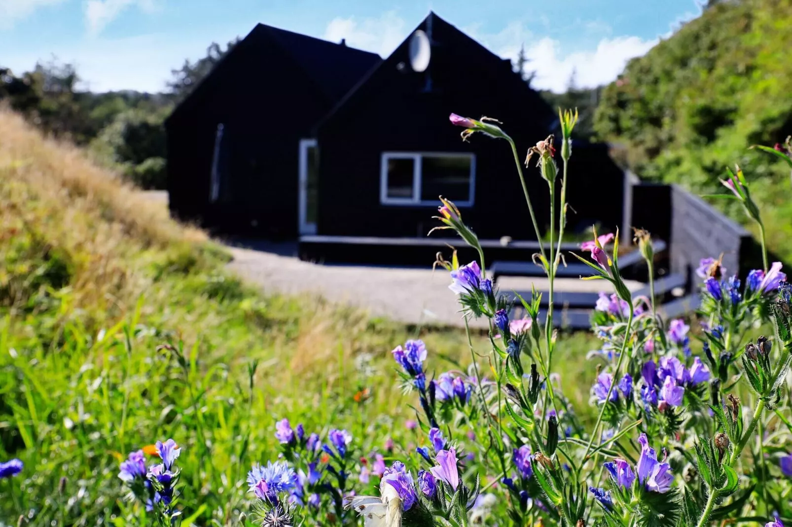 6 persoons vakantie huis in Blokhus