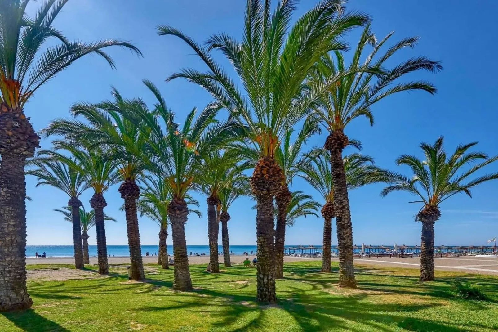 Paseo Marítimo-Gebieden zomer 1km
