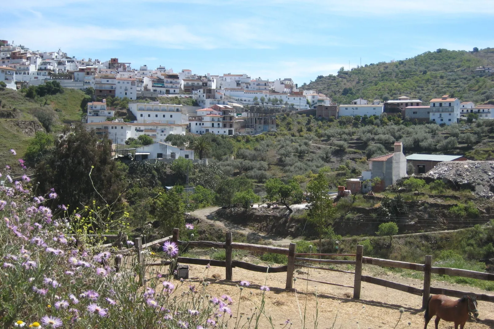 Casa Martijo-Gebieden zomer 1km