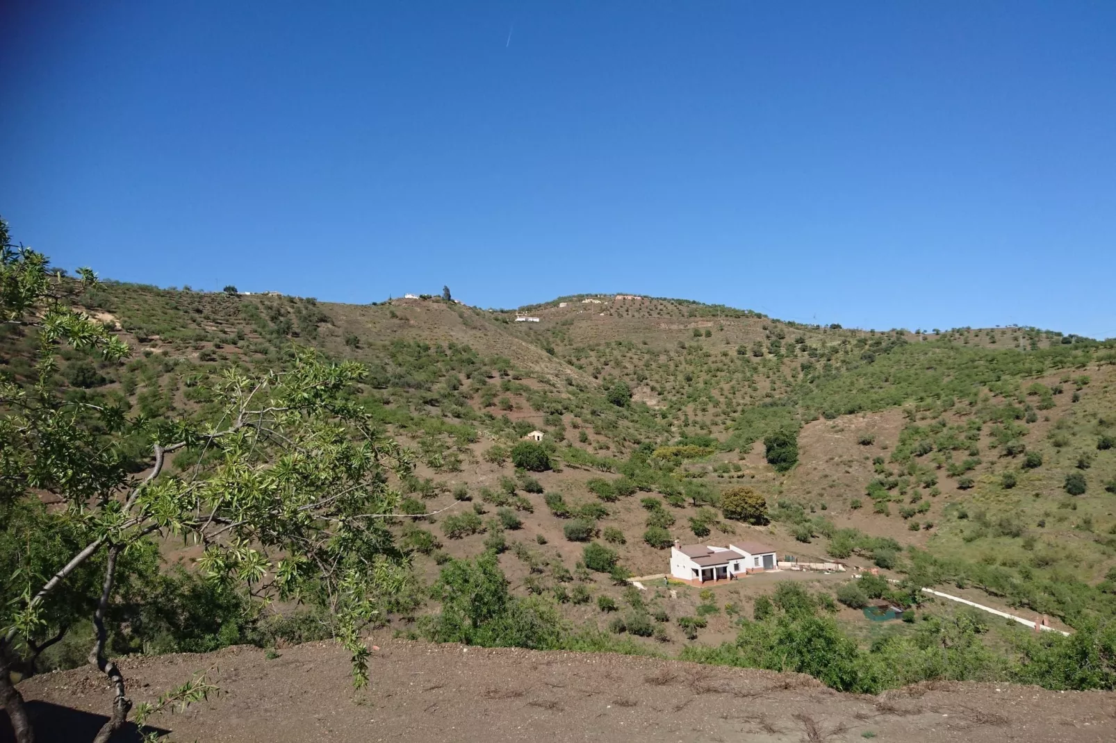 Villa Las Reinas-Gebieden zomer 1km