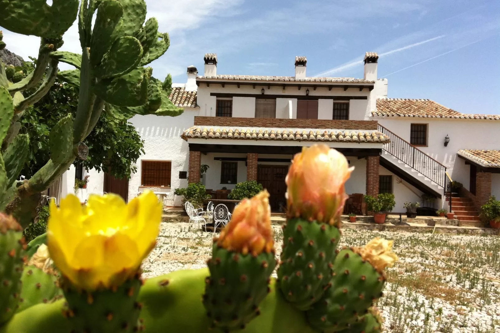 Cortijo las Monjas-Buitenkant zomer