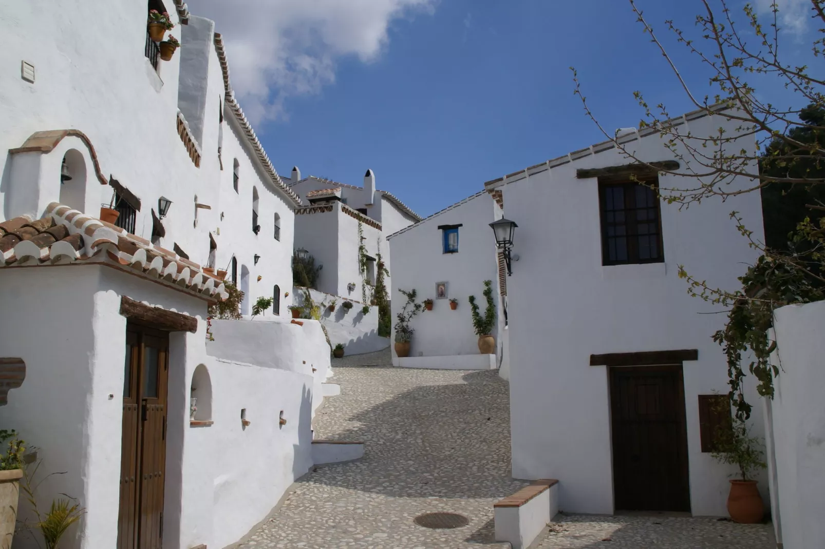 Cortijo Ricardo-Gebieden zomer 1km